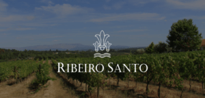 Ribeiro Santo